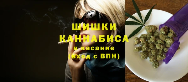 дурь Новодвинск
