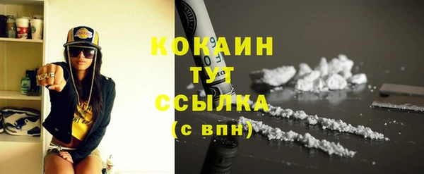 шишки Няндома