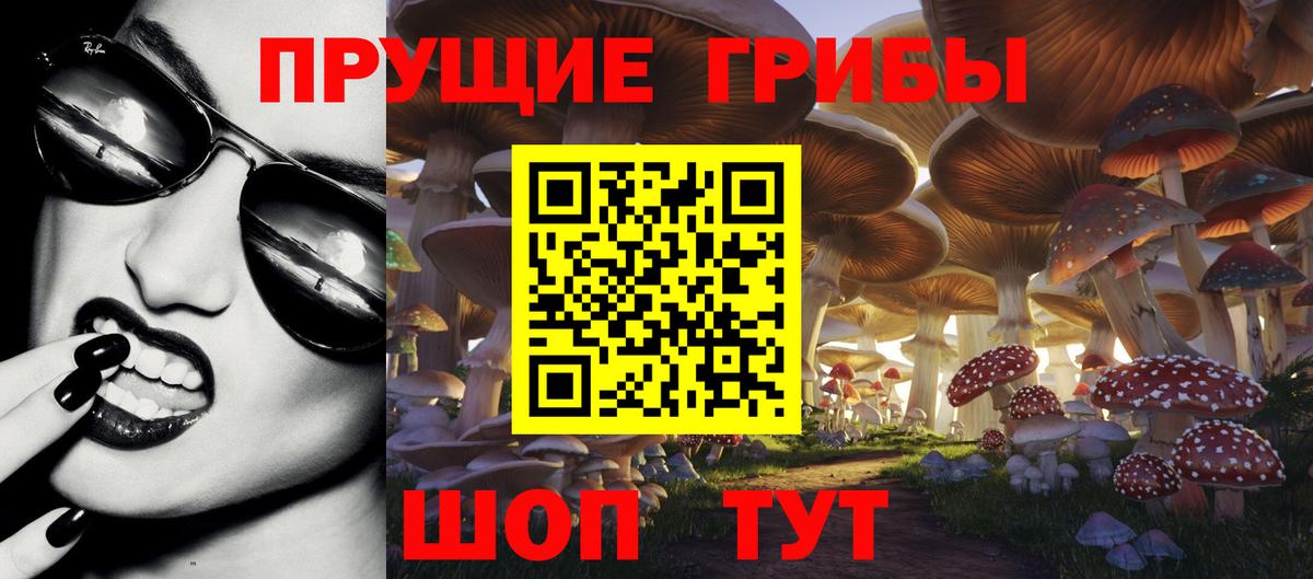 Псилоцибиновые грибы мицелий Магнитогорск