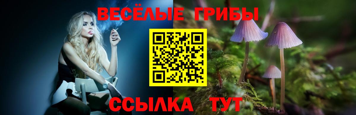 Псилоцибиновые грибы GOLDEN TEACHER  Вход с VPN  Магнитогорск  Псилоцибиновые грибы Magic Shrooms 